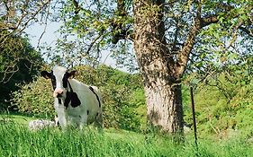 Roudenhaff Guestfarm